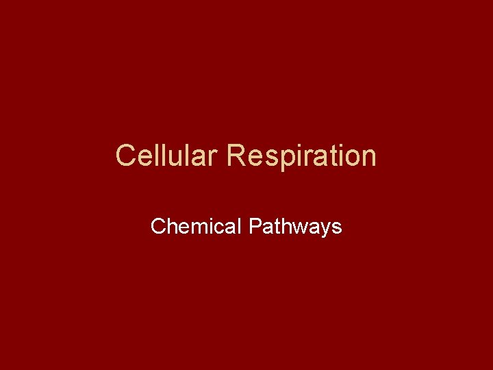 Cellular Respiration Chemical Pathways 