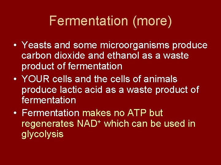 Fermentation (more) • Yeasts and some microorganisms produce carbon dioxide and ethanol as a