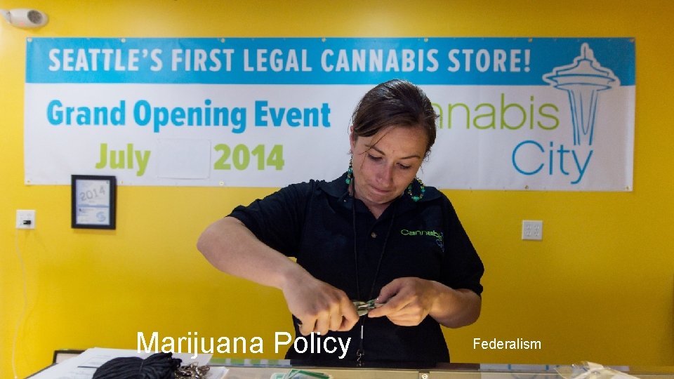 Marijuana Policy Federalism 