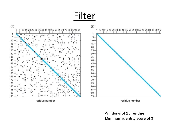 Filter Windows of 10 residue Minimum identity score of 3 