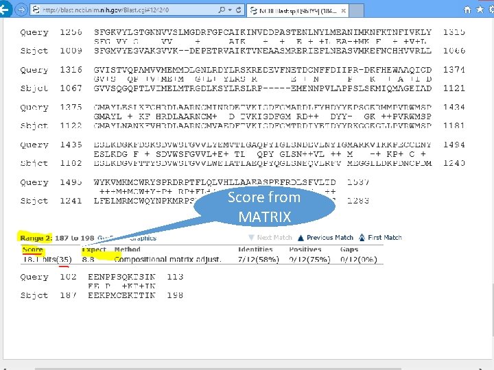 Score from MATRIX 