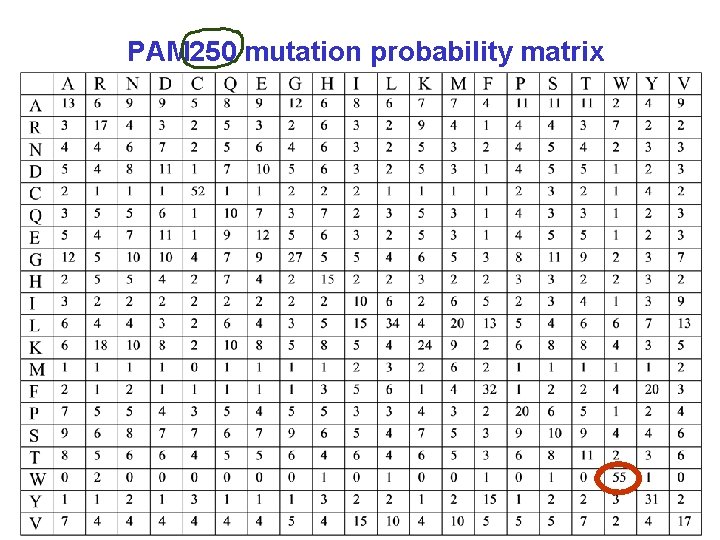 PAM 250 mutation probability matrix 