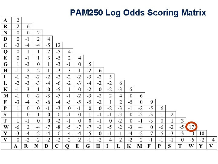 PAM 250 Log Odds Scoring Matrix 