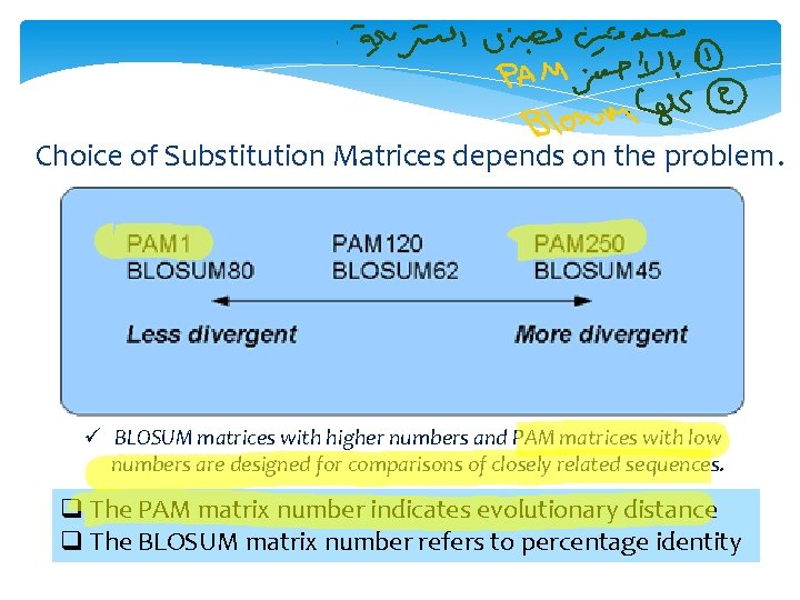 Choice of Substitution Matrices depends on the problem. ü BLOSUM matrices with higher numbers