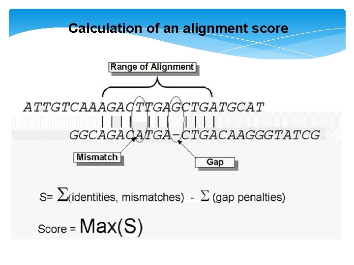 Calculation of an alignment score 