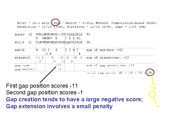 First gap position scores -11 Second gap position scores -1 Gap creation tends to