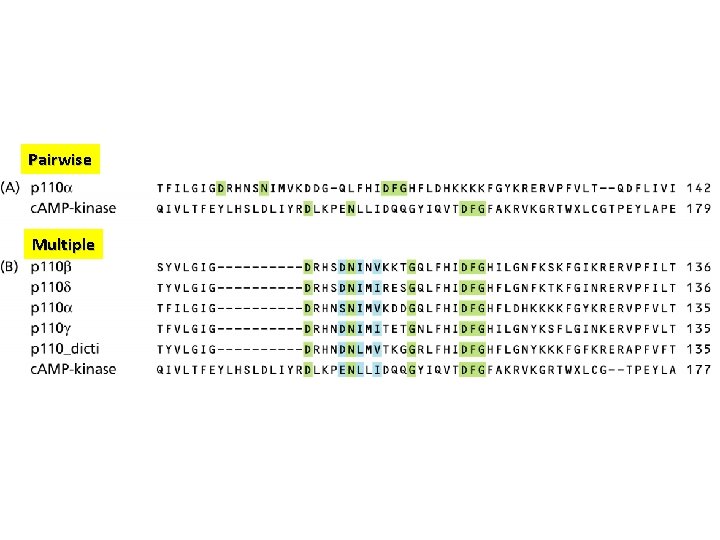 Pairwise Multiple 