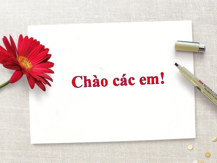 Chào các em! 