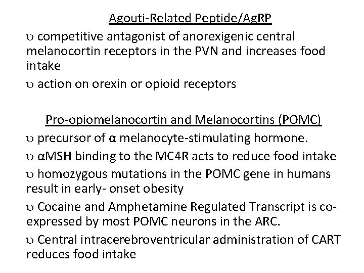 Agouti-Related Peptide/Ag. RP competitive antagonist of anorexigenic central melanocortin receptors in the PVN and