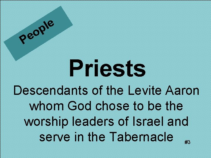 e l p o e P Priests Descendants of the Levite Aaron whom God