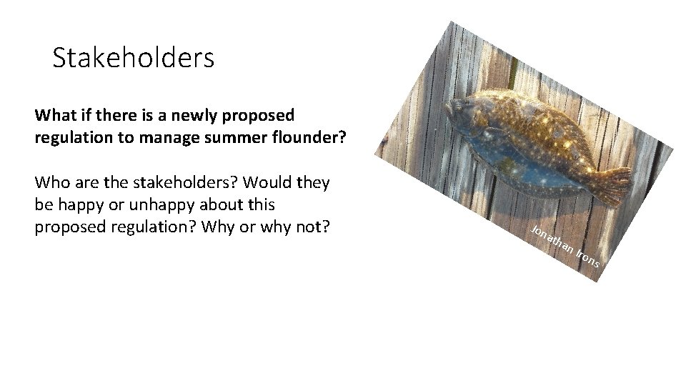 Stakeholders What if there is a newly proposed regulation to manage summer flounder? Who