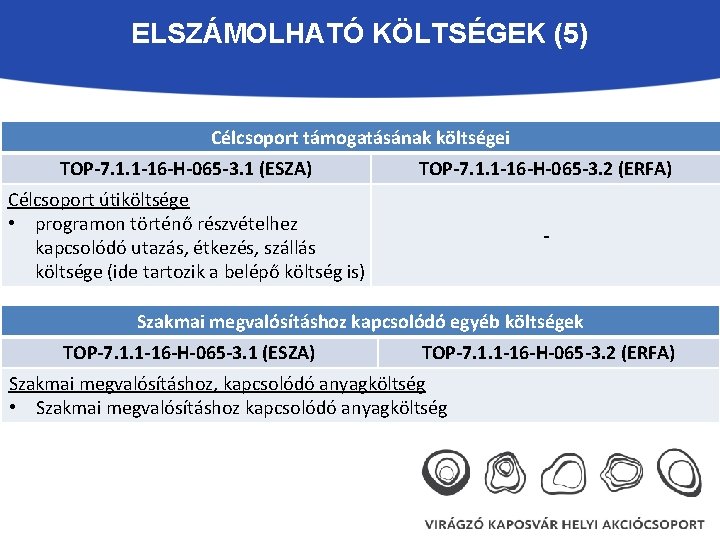 ELSZÁMOLHATÓ KÖLTSÉGEK (5) Célcsoport támogatásának költségei TOP-7. 1. 1 -16 -H-065 -3. 1 (ESZA)