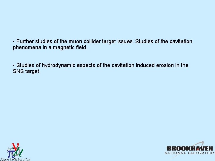  • Further studies of the muon collider target issues. Studies of the cavitation
