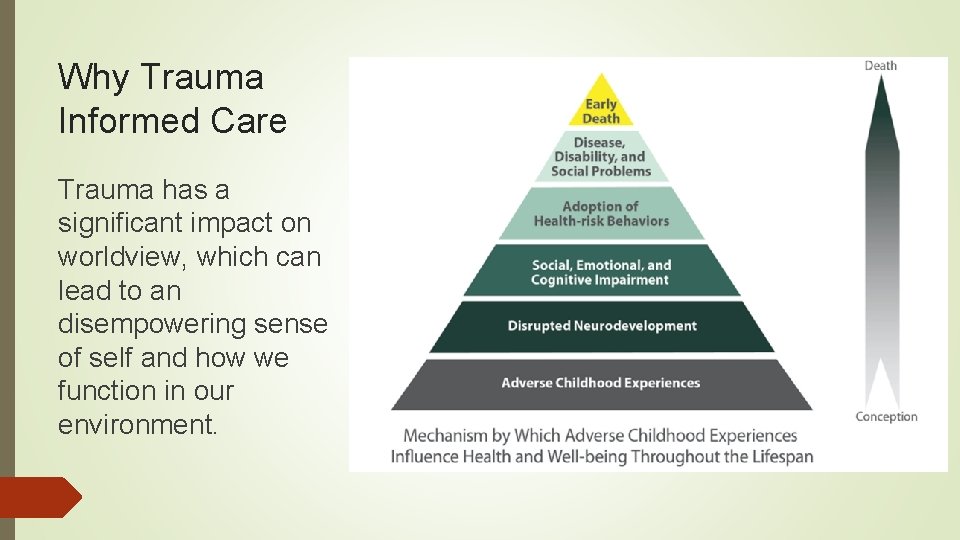 Why Trauma Informed Care Trauma has a significant impact on worldview, which can lead