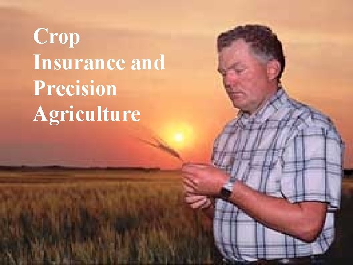 Crop Insurance and Precision Agriculture 
