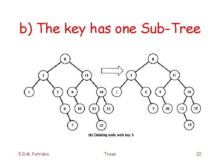 b) The key has one Sub-Tree E. G. M. Petrakis Trees 22 