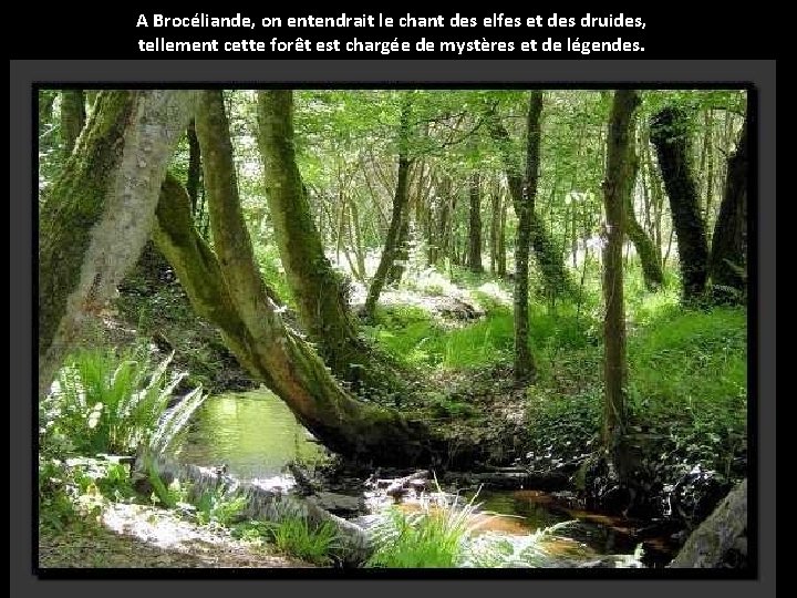 A Brocéliande, on entendrait le chant des elfes et des druides, tellement cette forêt