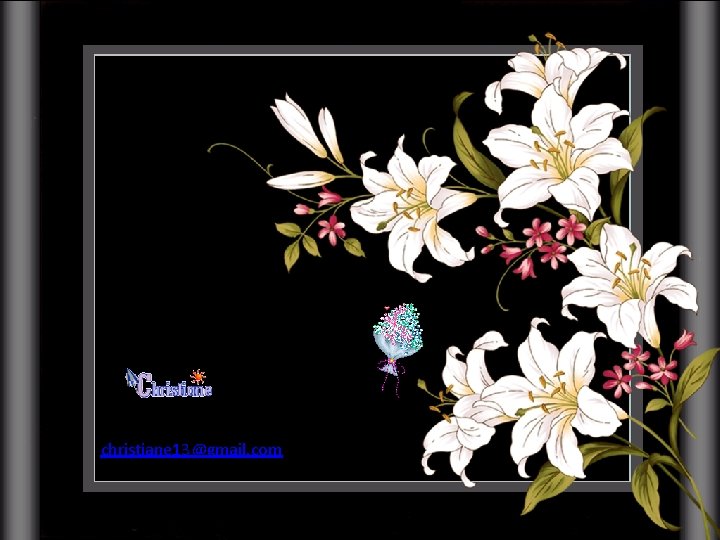 christiane 13@gmail. com 