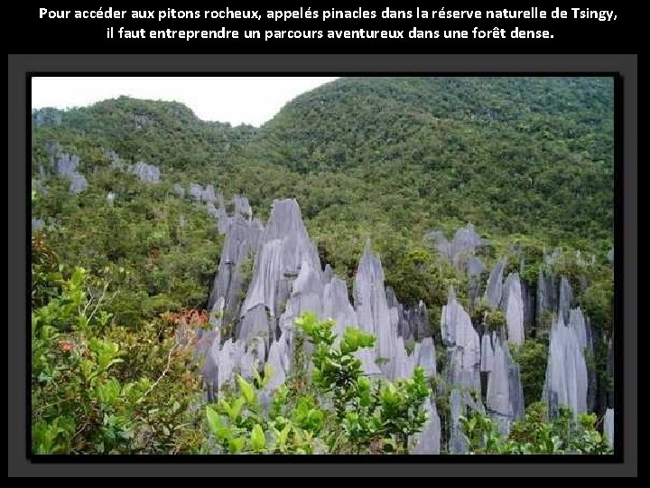 Pour accéder aux pitons rocheux, appelés pinacles dans la réserve naturelle de Tsingy, il