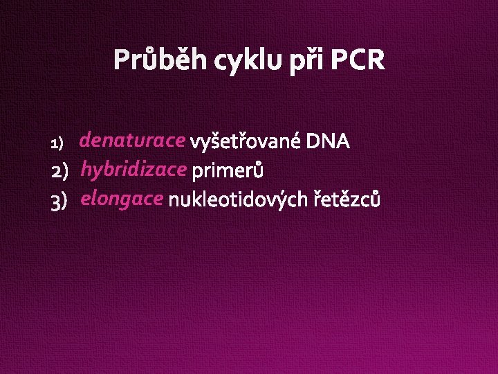 Průběh cyklu při PCR denaturace hybridizace elongace 