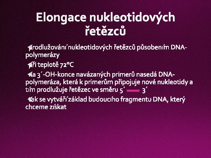 Elongace nukleotidových řetězců 
