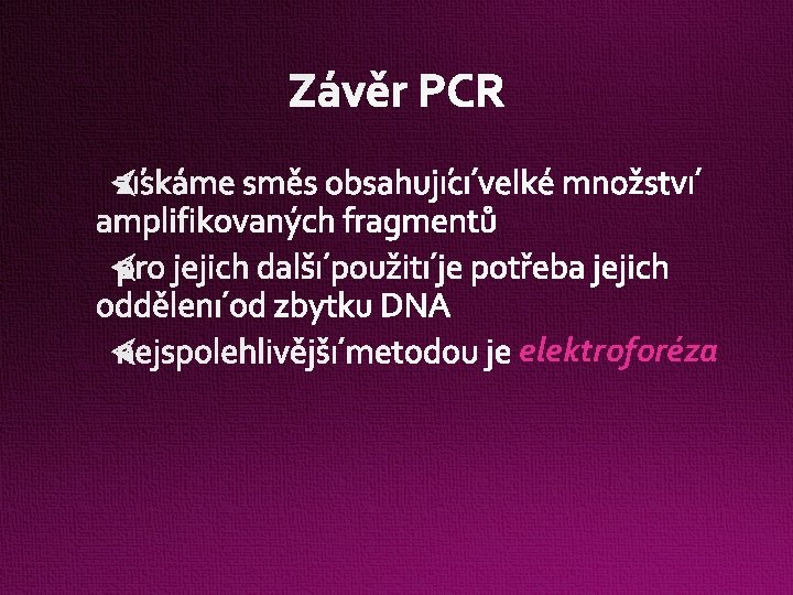 Závěr PCR elektroforéza 