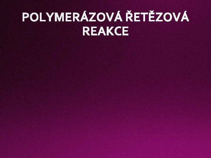 POLYMERÁZOVÁ ŘETĚZOVÁ REAKCE 