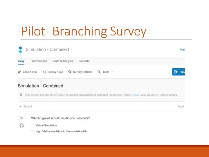 Pilot- Branching Survey 