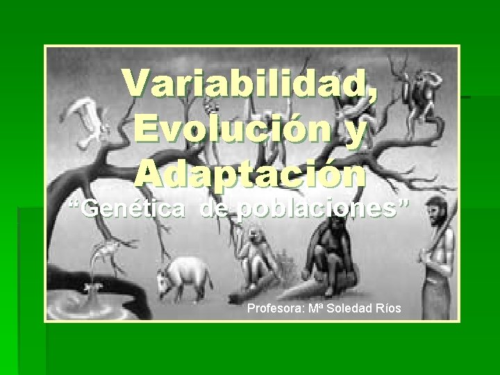 Variabilidad, Evolución y Adaptación “Genética de poblaciones” Profesora: Mª Soledad Ríos 