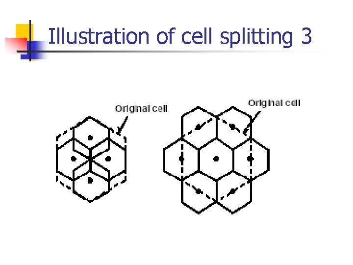 Illustration of cell splitting 3 