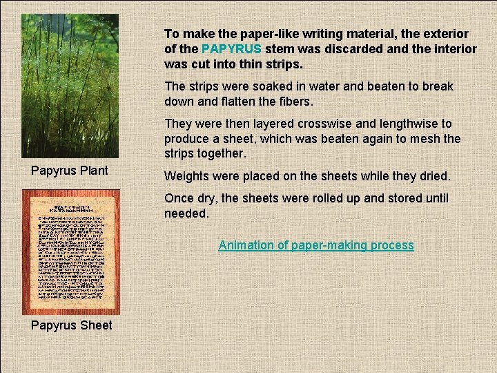 To make the paper-like writing material, the exterior of the PAPYRUS stem was discarded