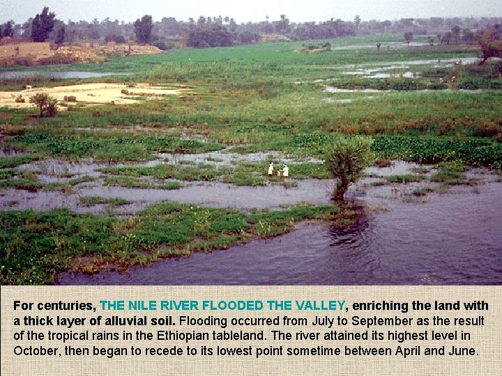 For centuries, THE NILE RIVER FLOODED THE VALLEY, enriching the land with a thick