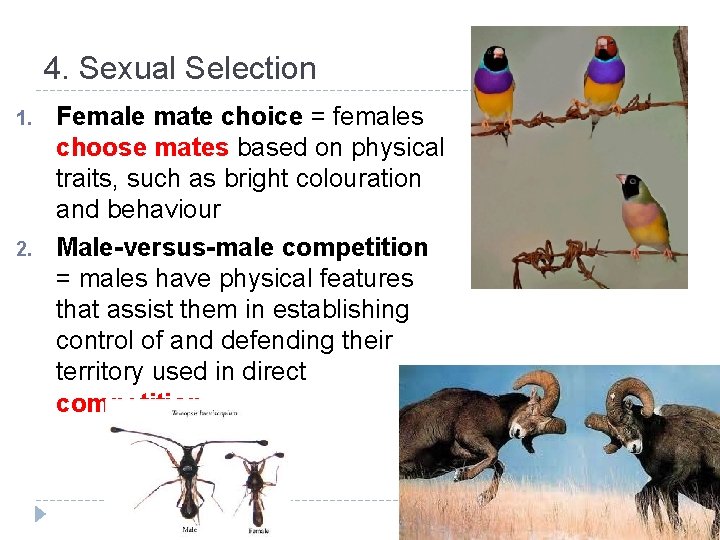 4. Sexual Selection 1. 2. Female mate choice = females choose mates based on
