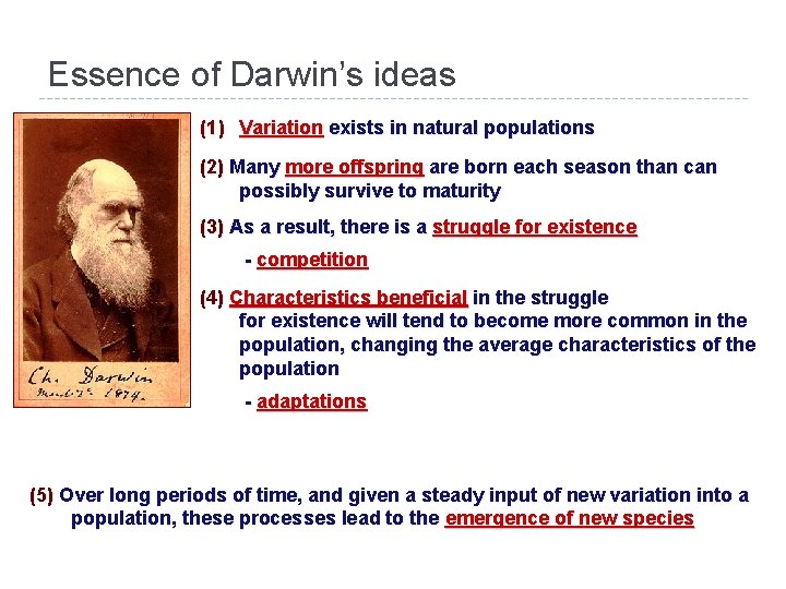 Essence of Darwin’s ideas (1) Variation exists in natural populations (2) Many more offspring