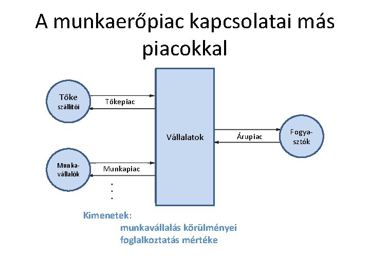 A munkaerőpiac kapcsolatai más piacokkal Tőke szállítói Tőkepiac Vállalatok Munkavállalók Árupiac Munkapiac Kimenetek: munkavállalás