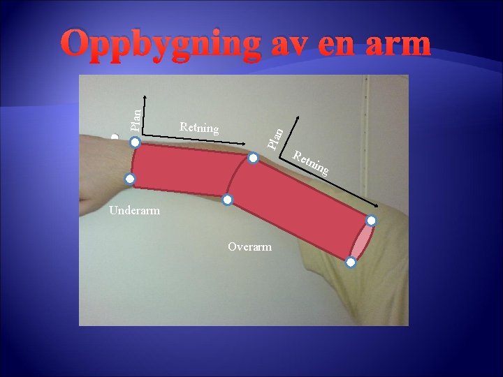 n Retning Plan Oppbygning av en arm Underarm Overarm Ret nin g n Retning Plan Oppbygning av en arm Underarm Overarm Ret nin g