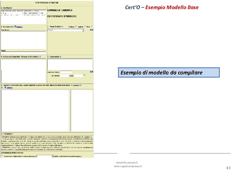 Cert’O – Esempio Modello Base Esempio di modello da compilare www. infocamere. it www.