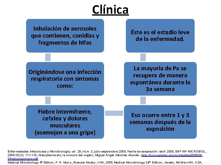 Clínica Inhalación de aerosoles que contienen, conidias y fragmentos de hifas Éste es el