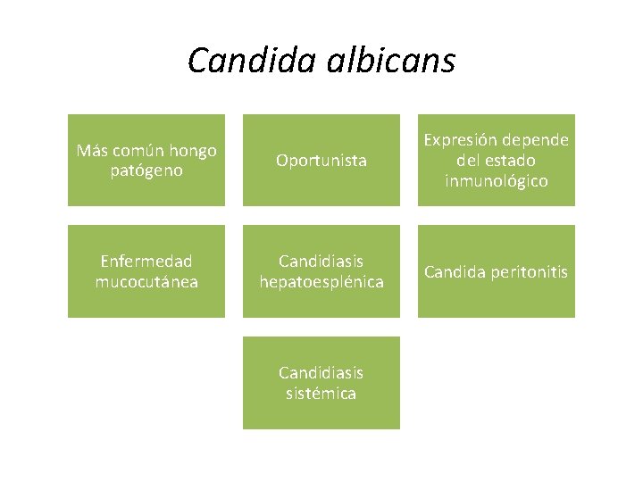 Candida albicans Más común hongo patógeno Oportunista Expresión depende del estado inmunológico Enfermedad mucocutánea