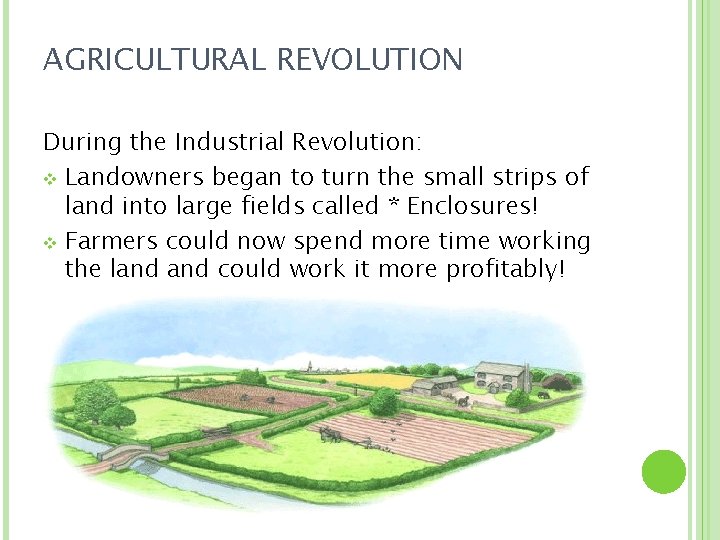 AGRICULTURAL REVOLUTION During the Industrial Revolution: v Landowners began to turn the small strips