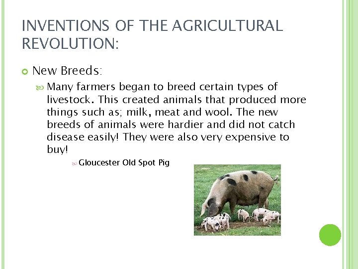 INVENTIONS OF THE AGRICULTURAL REVOLUTION: New Breeds: Many farmers began to breed certain types