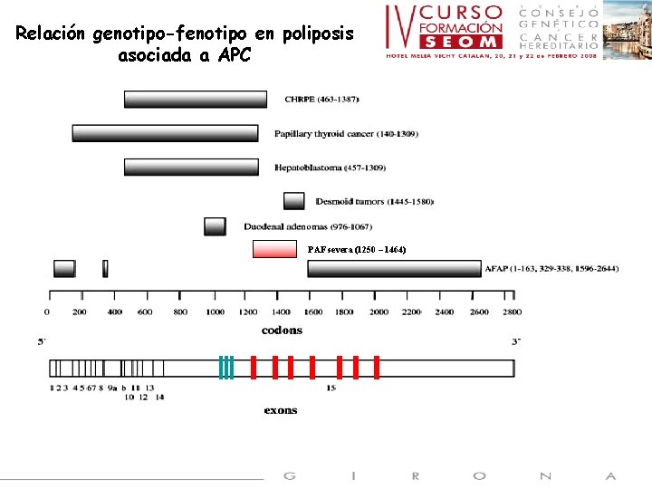 Relación genotipo-fenotipo en poliposis asociada a APC PAF severa (1250 – 1464) 