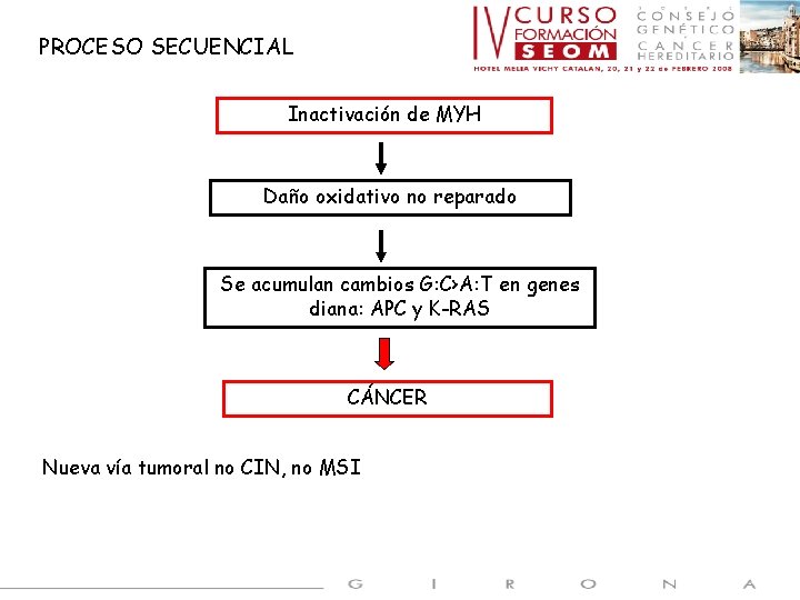 PROCESO SECUENCIAL Inactivación de MYH Daño oxidativo no reparado Se acumulan cambios G: C›A: