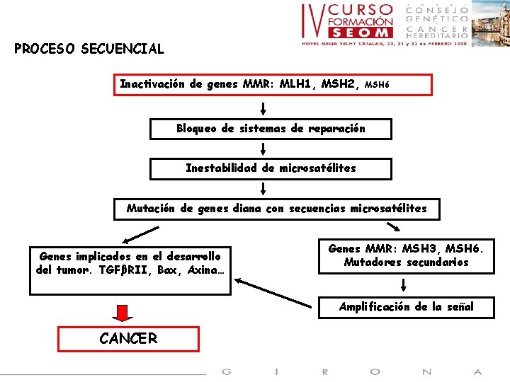 PROCESO SECUENCIAL Inactivación de genes MMR: MLH 1, MSH 2, MSH 6 Bloqueo de