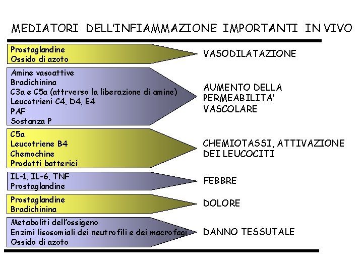 MEDIATORI DELL’INFIAMMAZIONE IMPORTANTI IN VIVO Prostaglandine Ossido di azoto VASODILATAZIONE Amine vasoattive Bradichinina C