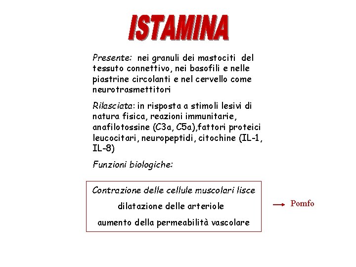 Presente: nei granuli dei mastociti del tessuto connettivo, nei basofili e nelle piastrine circolanti