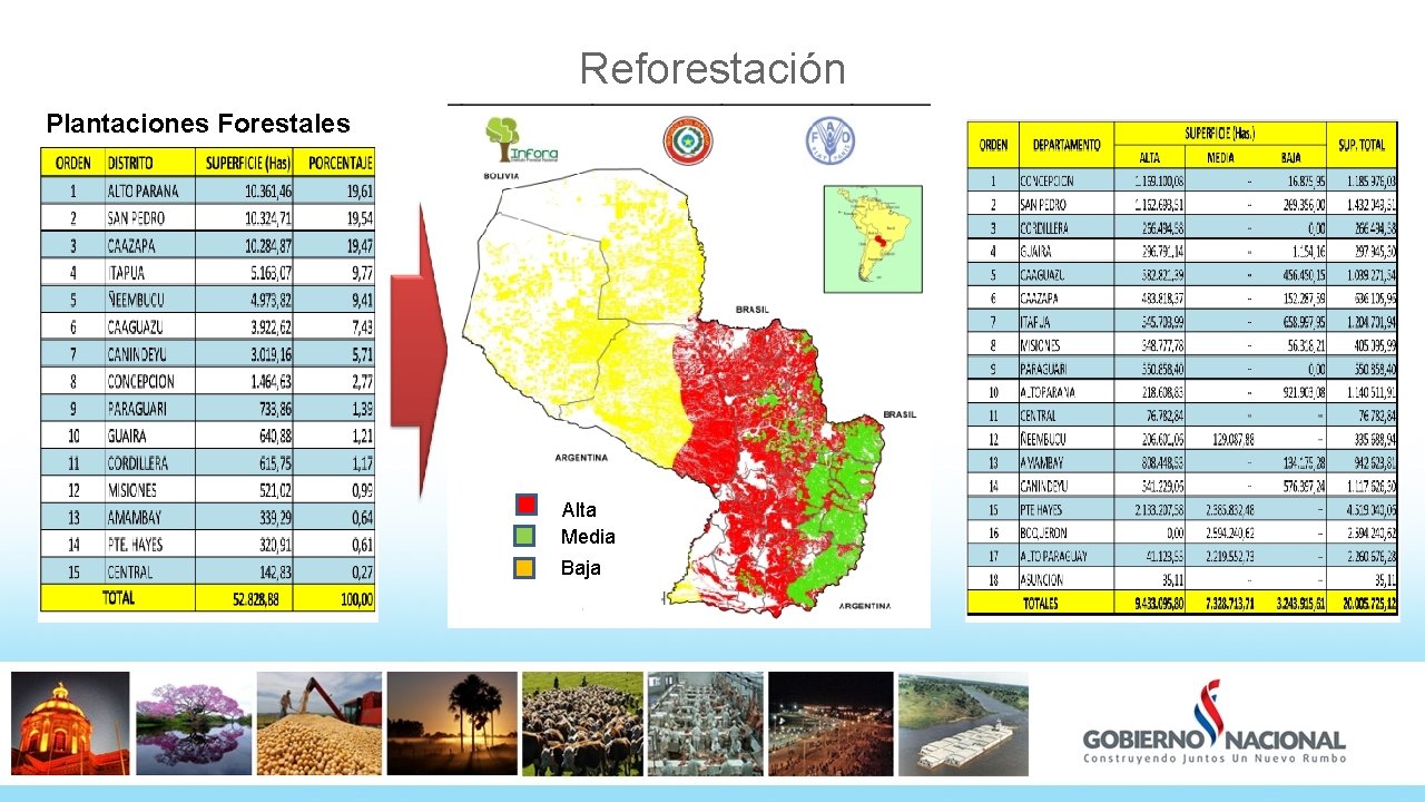 Reforestación Plantaciones Forestales Alta Media Baja 