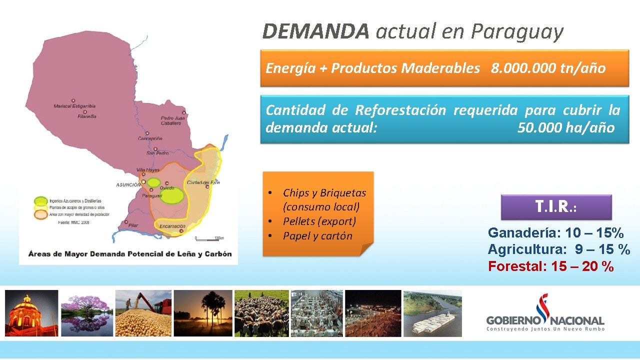 DEMANDA actual en Paraguay Energía + Productos Maderables 8. 000 tn/año Cantidad de Reforestación