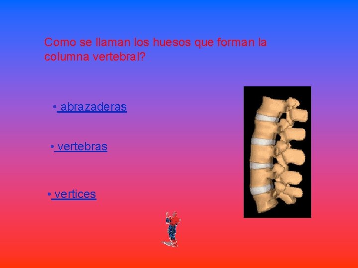 Como se llaman los huesos que forman la columna vertebral? • abrazaderas • vertebras