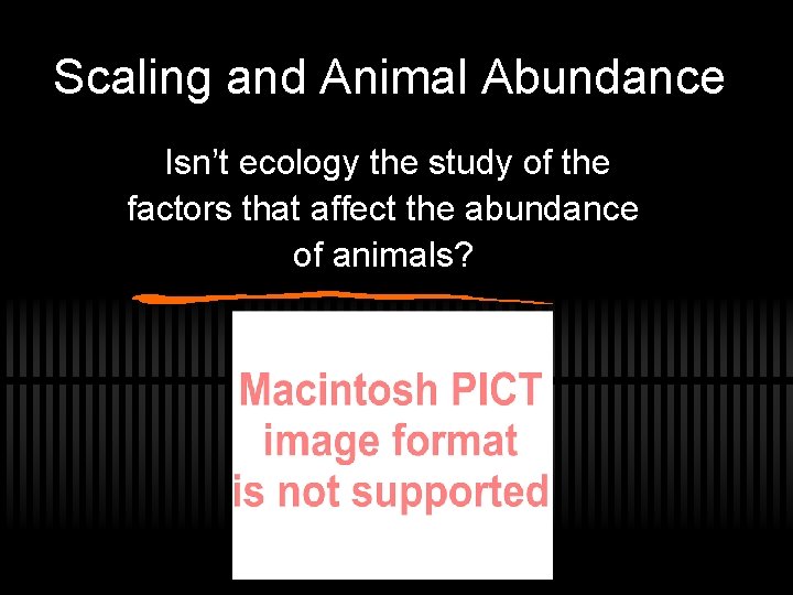 Scaling and Animal Abundance Isn’t ecology the study of the factors that affect the